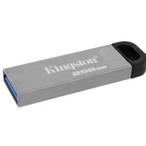 USB memorija KINGSTON DTKN/256GB/Kyson/3.2/srebrna